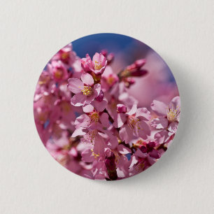 Chapa Redonda De 5 Cm Flores de Cerezo Sakura Besadas por la Luz del Sol