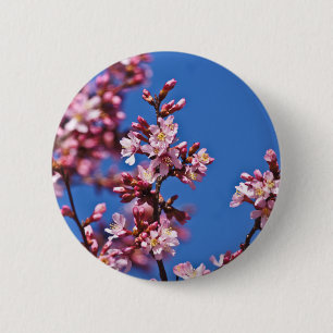 Chapa Redonda De 5 Cm Flores de Cerezo Sakura Tocando Azul
