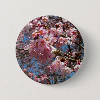 Chapa Redonda De 5 Cm Flores de cerezo y de primavera rosada de abeja