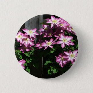 Chapa Redonda De 5 Cm Flores de primavera púrpura Clematis en escalada