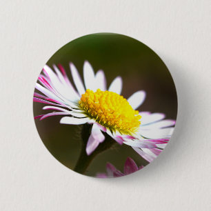 Chapa Redonda De 5 Cm flores hermosas pétalos romance romántico nupcial