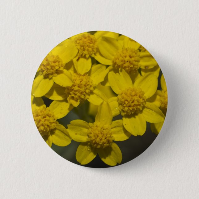 Chapa Redonda De 5 Cm Flores silvestres amarillas (Anverso)