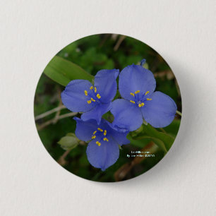 Chapa Redonda De 5 Cm Flores silvestres Blue Spiderwors Hot Springs AR R