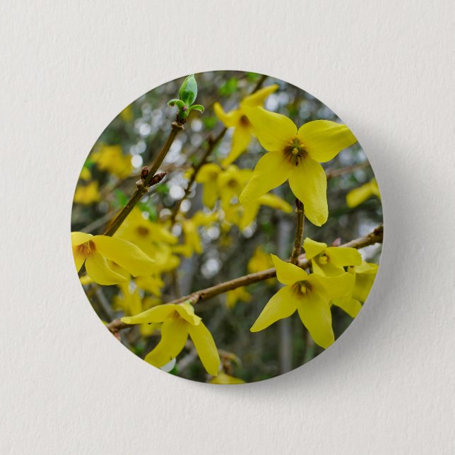 Chapa Redonda De 5 Cm Forsythia en Springtime Badge (Anverso)