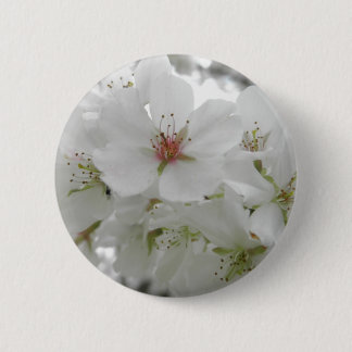 Chapa Redonda De 5 Cm Foto blanca de las flores de cerezo