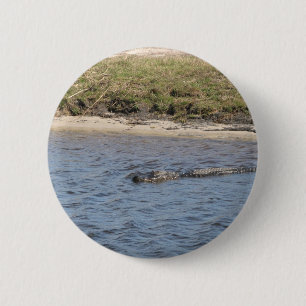 Chapa Redonda De 5 Cm Foto de caimán americano nadando en un río pantano