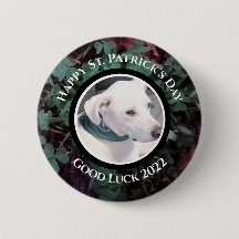 Foto de Cute White Dog Green Shamrock Clovers