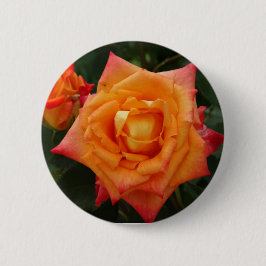 Chapa Redonda De 5 Cm Foto de insignia redonda de flor de rosa naranja