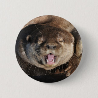 Chapa Redonda De 5 Cm Foto de la nutria