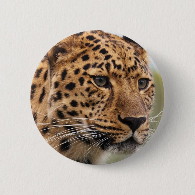 Chapa Redonda De 5 Cm Foto de leopardo (Anverso)