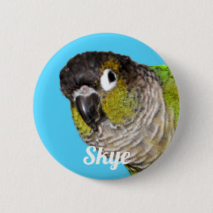 Chapa Redonda De 5 Cm Foto de nombre de ave mascota personalizada