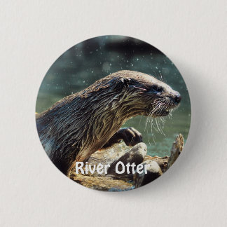 Chapa Redonda De 5 Cm Foto de vida silvestre de River Otter