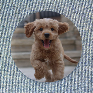 Chapa Redonda De 5 Cm Foto mascota   Carga de imágenes Perro Adorable Cu