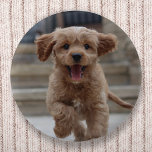 Chapa Redonda De 5 Cm Foto mascota | Carga de imágenes Perro Adorable Cu<br><div class="desc">Personalizado de fotos diseña tu propia plantilla para incluir tu fotografía favorita de tu perro, gato, mascotas, bebé, hijos, familia o amigos! Una plantilla fácil de personalizar para hacer uno propio de un tipo de diseño con su propia imagen. ¡El regalo perfecto para un ser querido! La imagen que se...</div>