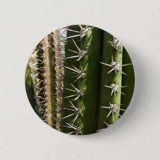 Chapa Redonda De 5 Cm Foto natural del desierto de Cactus II de Barrel
