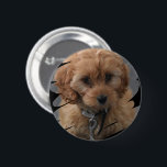 Chapa Redonda De 5 Cm Foto personalizada<br><div class="desc">Crea un Personalizado único botón personalizado de fotografía personalizado de Ricaso - con un marco de garabato que mostrará tu foto o incluso tu propia obra de arte de manera moderna</div>