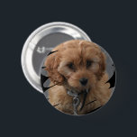 Chapa Redonda De 5 Cm Foto personalizada<br><div class="desc">Crea un Personalizado único botón personalizado de fotografía personalizado de Ricaso - con un marco de garabato que mostrará tu foto o incluso tu propia obra de arte de manera moderna</div>