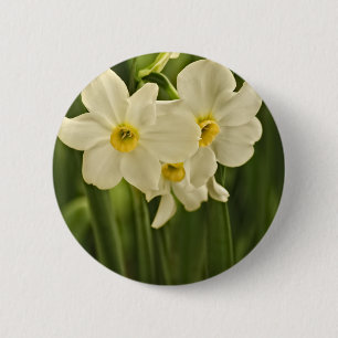 Chapa Redonda De 5 Cm Fotografía floral: Narciso blanco de la primaver