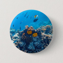 Chapa Redonda De 5 Cm Fotos náuticas Fotografía de animales marinos Fish