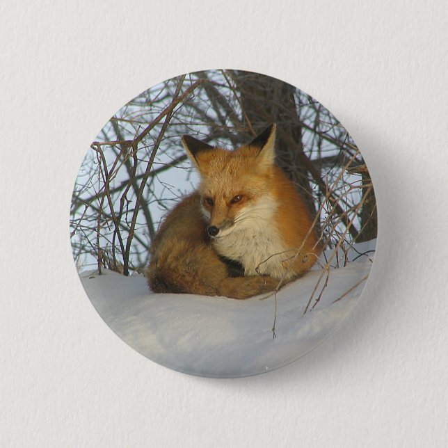 Chapa Redonda De 5 Cm Fox desangrada (Anverso)