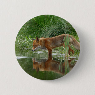 Chapa Redonda De 5 Cm Fox en estanque