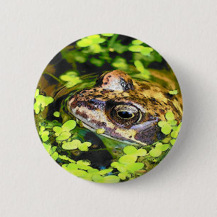 CHAPA REDONDA DE 5 CM FROG