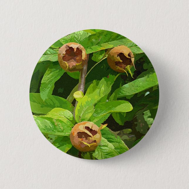 CHAPA REDONDA DE 5 CM FRUTA MEDLAR (Anverso)