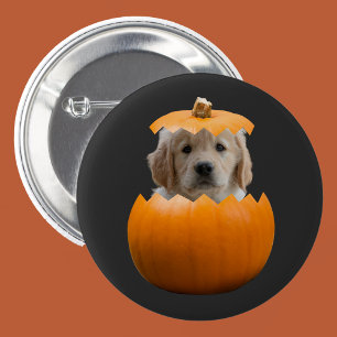 Chapa Redonda De 5 Cm Fun Cute Personalizada Halloween Calabaza Foto de 