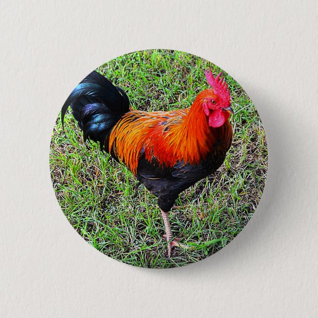 Chapa Redonda De 5 Cm Gallo-UNo-Doodle-Haga (Anverso)