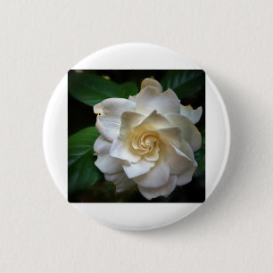 Chapa Redonda De 5 Cm Gardenia blanca