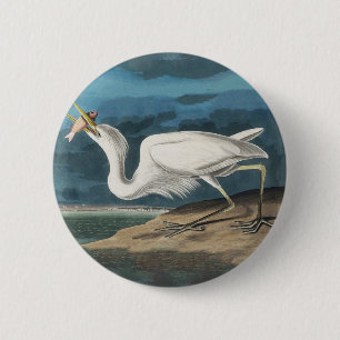 Chapa Redonda De 5 Cm Garza Blanca Grande de Audubon: Ave Costera Vintag