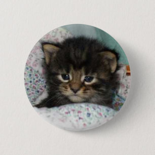 Chapa Redonda De 5 Cm Gatito