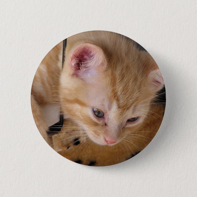 CHAPA REDONDA DE 5 CM GATITO (Anverso)