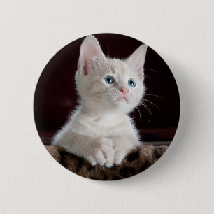 Chapa Redonda De 5 Cm Gatito blanco súper lindo