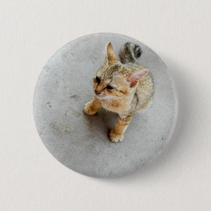 Chapa Redonda De 5 Cm Gatito de gato salvaje