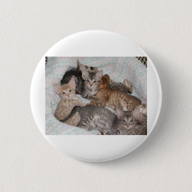 CHAPA REDONDA DE 5 CM GATITOS LINDOS EN UNA CESTA (Anverso)