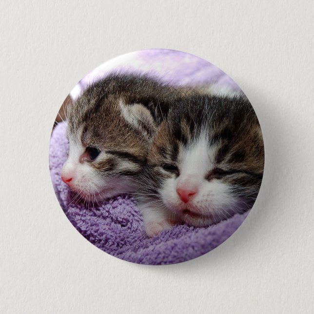 Chapa Redonda De 5 Cm Gatitos somnolientos (Anverso)