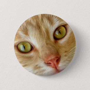 Chapa Redonda De 5 Cm Gato amarillo