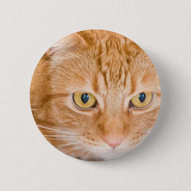 Chapa Redonda De 5 Cm Gato anaranjado (Anverso)
