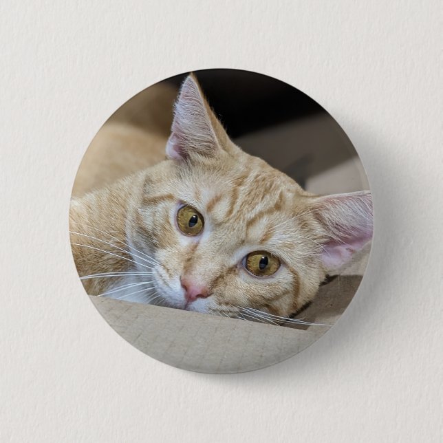 Chapa Redonda De 5 Cm Gato atigrado naranja lindo  (Anverso)