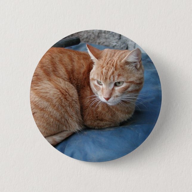 Chapa Redonda De 5 Cm Gato Beige (Anverso)