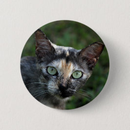 Chapa Redonda De 5 Cm Gato blanco gris marrón con ojos verdes