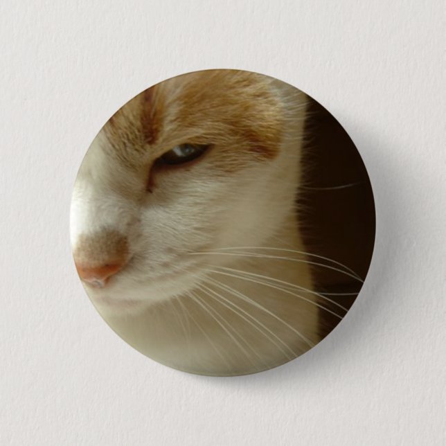 Chapa Redonda De 5 Cm gato en acción (Anverso)
