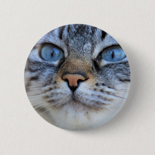Chapa Redonda De 5 Cm Gato gris