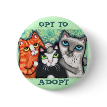 Gato rescatado/del refugio