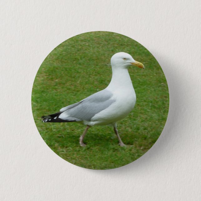 Chapa Redonda De 5 Cm Gaviota caminando en el parque (Anverso)