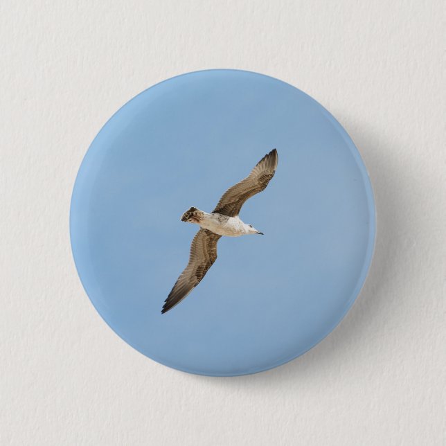 Chapa Redonda De 5 Cm Gaviota voladora (Anverso)