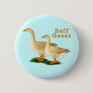 Chapa Redonda De 5 Cm Geese: Buffs norteamericanos