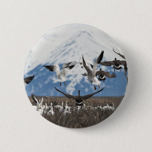 Chapa Redonda De 5 Cm Geese dispersivo