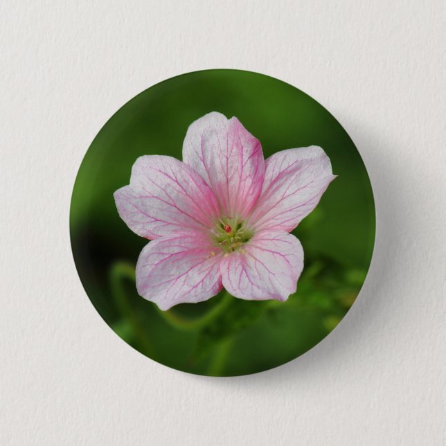 Chapa Redonda De 5 Cm Geranium (Anverso)